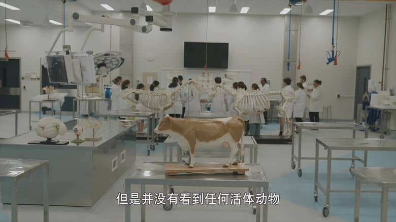 国产纪录片《他乡的童年 Childhood Elsewhere 2024》第二季全5集 国语中字 4K超清/2160P/MP4/10.7G 教育与成长插图3