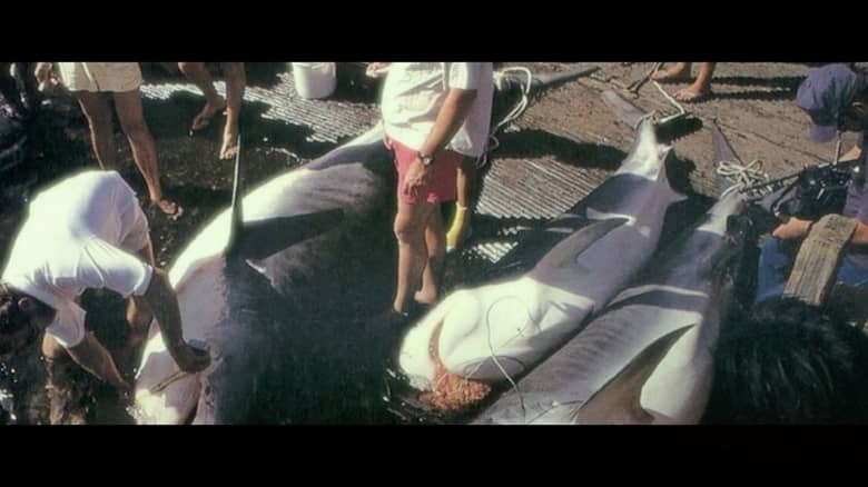 美国纪录片《鲨语者 Shark Whisperer 2025》英语多国字幕 无水印纯净版 1080P/MKV/3.57G 鲨鱼保护插图2 美国纪录片《鲨语者 Shark Whisperer 2025》英语多国字幕 无水印纯净版 1080P/MKV/3.57G 鲨鱼保护插图2