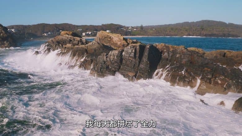 迪士尼纪录片《与鲨鱼游弋 Playing with Sharks: The Valerie Taylor Story 2021》国粤英三语多国字幕 无水印纯净版 1080P/MKV/5.57G 与鲨共舞插图5