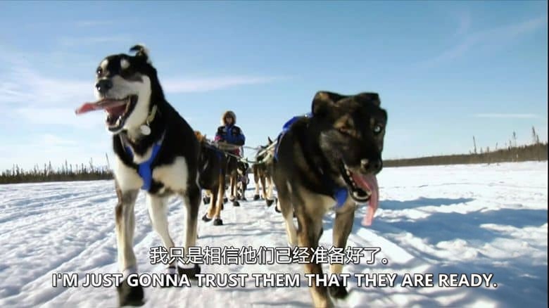 探索频道《地球上最艰难的比赛 Iditarod Toughest Race on Earth：Iditarod 2008》全6集 英语中英双字 无水印纯净版 1080P/MKV/22.1G 穿越阿拉斯加荒野插图2