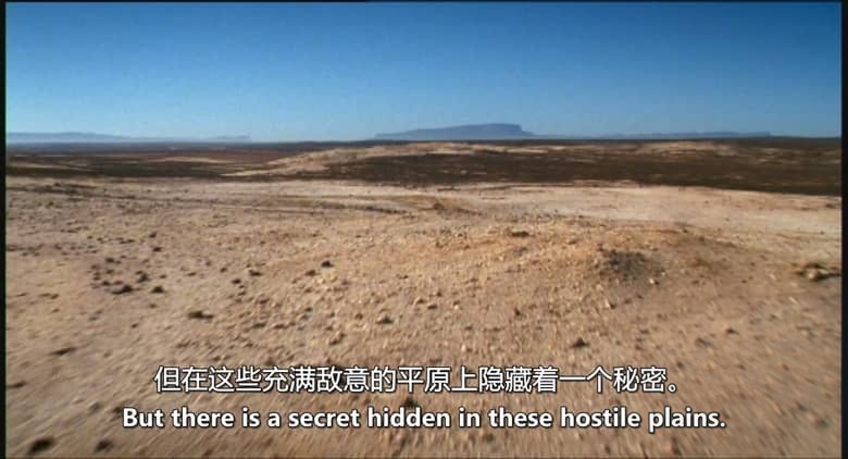 英国纪录片《纳马夸兰：非洲沙漠花园 Namaqualand：Africa’s Desert Garden 2005》英语中英双字 无水印纯净版 1080P/MKV/3.32G 非洲沙漠花园插图2