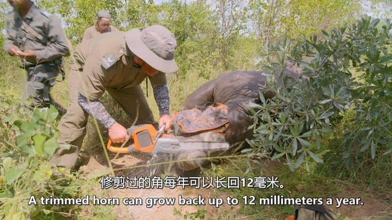 史密森尼频道《非洲极端机场 Extreme Airport Africa 2024》第一季全8集 英语中英双字 无水印纯净版 1080P/MKV/22G 非洲机场插图2 史密森尼频道《非洲极端机场 Extreme Airport Africa 2024》第一季全8集 英语中英双字 无水印纯净版 1080P/MKV/22G 非洲机场插图2