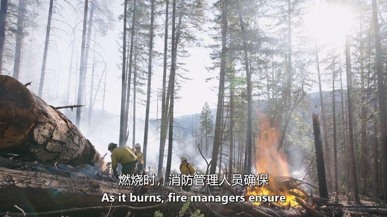 美国纪录片《美国森林大火:不为人知的故事 American Forest Fires: The Untold Story 2022》全4集 英语中英双字 无水印纯净版 1080P/MKV/11.4G美国森林大火插图3 美国纪录片《美国森林大火:不为人知的故事 American Forest Fires: The Untold Story 2022》全4集 英语中英双字 无水印纯净版 1080P/MKV/11.4G美国森林大火插图3