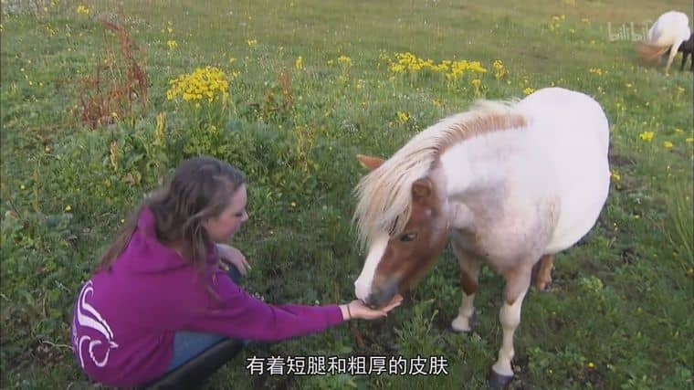 德国纪录片《设德兰群岛 The Shetlands 2012》德语中字 1080P/MP4/1.32G 英国设得兰群岛插图2 德国纪录片《设德兰群岛 The Shetlands 2012》德语中字 1080P/MP4/1.32G 英国设得兰群岛插图2
