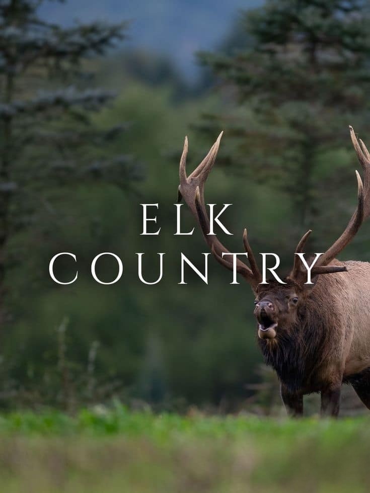 美国纪录片《麋鹿国度 Elk Country 2025》英语中英双字 无水印纯净版 1080P/MKV/3.34G 北美麋鹿插图 美国纪录片《麋鹿国度 Elk Country 2025》英语中英双字 无水印纯净版 1080P/MKV/3.34G 北美麋鹿插图