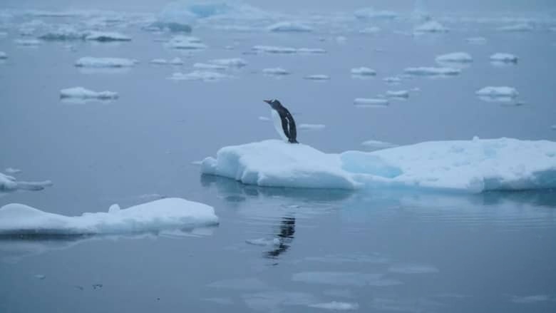 国家地理《第七大洲:南极洲 Continent 7: Antarctica 2016》全6集 多国语言多国字幕 无水印纯净版 720P/MKV/12.2G 南极洲大探险插图4 国家地理《第七大洲:南极洲 Continent 7: Antarctica 2016》全6集 多国语言多国字幕 无水印纯净版 720P/MKV/12.2G 南极洲大探险插图4