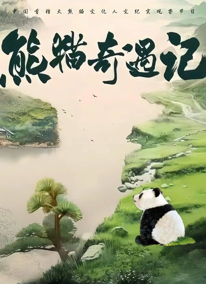 国产纪录片《熊猫奇遇记 2024》全6集 英语中英双字 4K超清/2160P/MP4/11G 大熊猫的诞生与成长插图