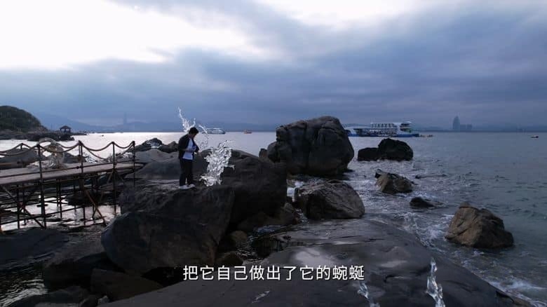 国产纪录片《海洋守蔚者 2025》全5集 国语中字 1080P/MKV/1.44G 海洋保护短片插图1 国产纪录片《海洋守蔚者 2025》全5集 国语中字 1080P/MKV/1.44G 海洋保护短片插图1