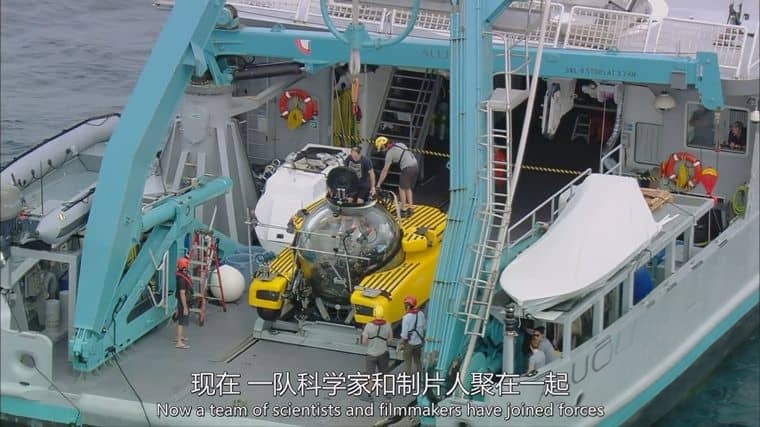 国家地理《失落的太平洋大陆 Lost Continent of the Pacific 2011》英语中英双字 1080P/MP4/1.04G 新几内亚岛插图3 国家地理《失落的太平洋大陆 Lost Continent of the Pacific 2011》英语中英双字 1080P/MP4/1.04G 新几内亚岛插图3
