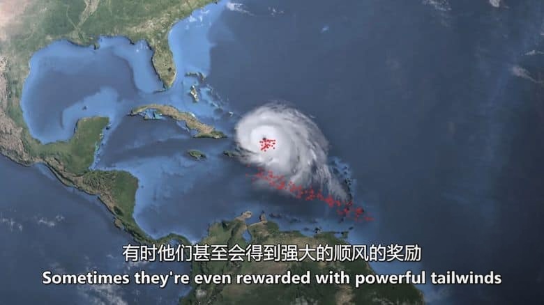 美国纪录片《自然幸存者 Natures Survivors 2024》英语中英双字 无水印纯净版 1080P/MKV/2.66G 灾难后的动物插图4