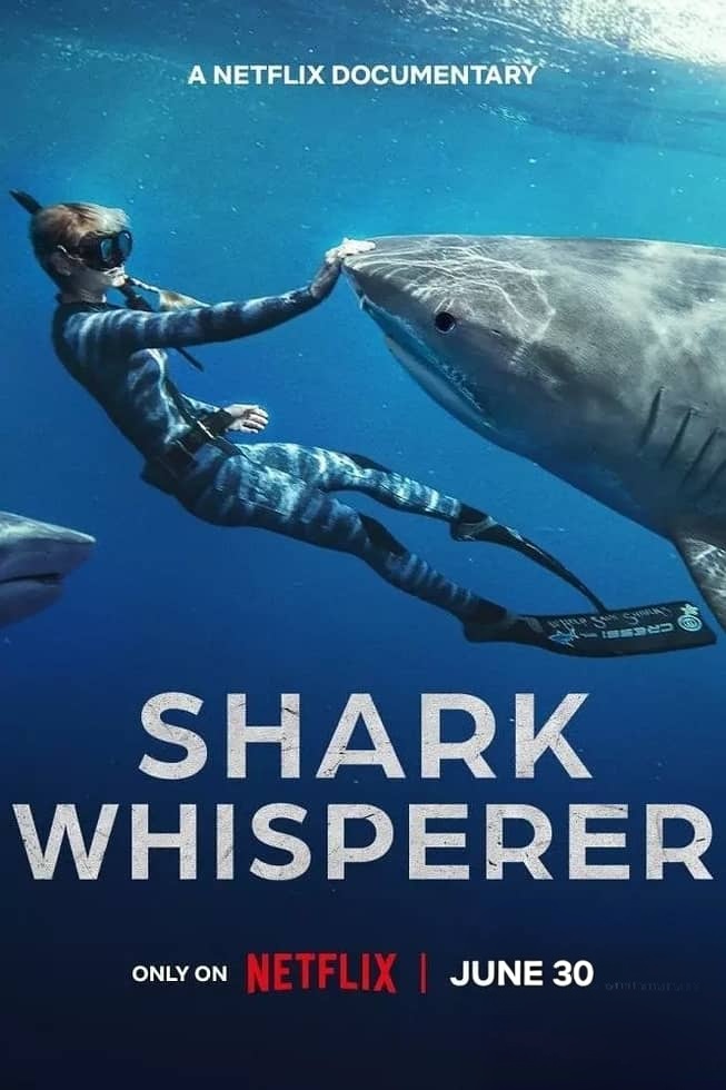 美国纪录片《鲨语者 Shark Whisperer 2025》英语多国字幕 无水印纯净版 1080P/MKV/3.57G 鲨鱼保护插图 美国纪录片《鲨语者 Shark Whisperer 2025》英语多国字幕 无水印纯净版 1080P/MKV/3.57G 鲨鱼保护插图