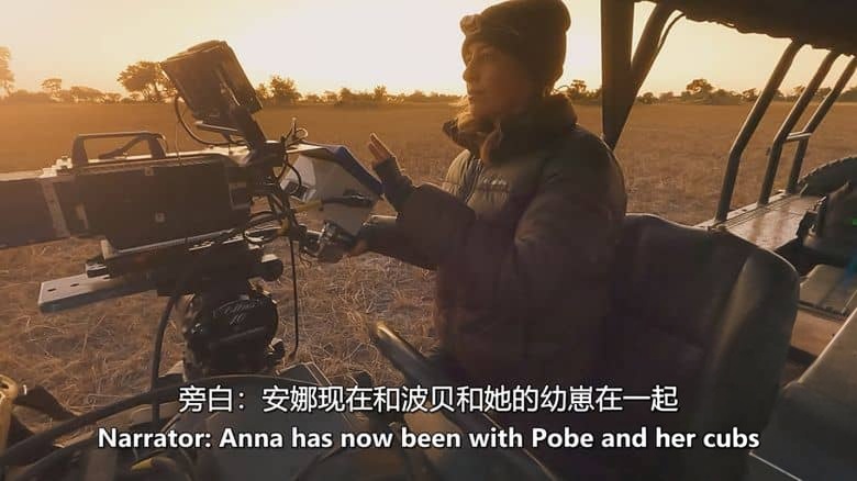 BBC纪录片《大猫全实录 Big Cats 24/7 2025》第二季全3集 英语中英双字 无水印纯净版 1080P/MKV/10.6G 猫科动物插图7 BBC纪录片《大猫全实录 Big Cats 24/7 2025》第二季全3集 英语中英双字 无水印纯净版 1080P/MKV/10.6G 猫科动物插图7