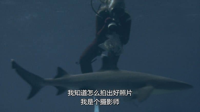 迪士尼纪录片《与鲨鱼游弋 Playing with Sharks: The Valerie Taylor Story 2021》国粤英三语多国字幕 无水印纯净版 1080P/MKV/5.57G 与鲨共舞插图3
