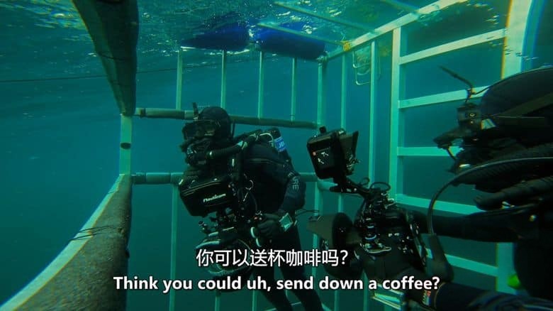 国家地理《北境狂鲨 Sharks of the North 2025》英语中英双字 无水印纯净版 1080P/MKV/2.25G 极北之鲨插图3