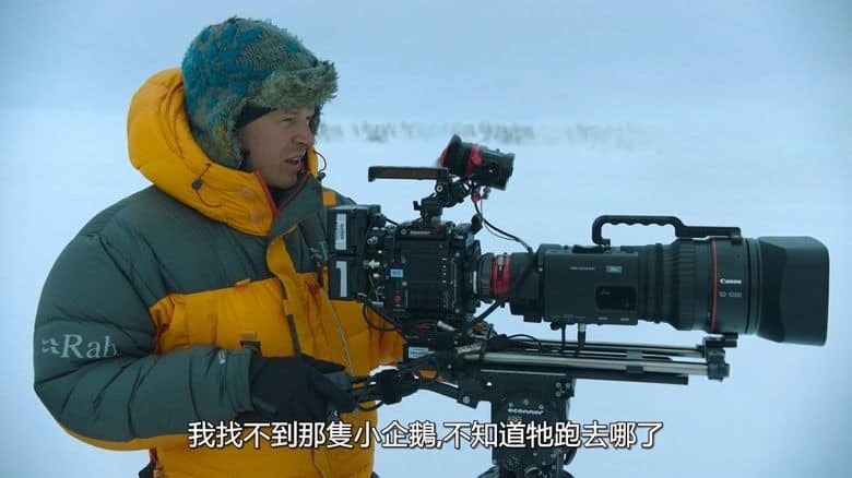 国家地理《企鹅之谜 Secrets of the Penguins 2025》全3集 英语多国中字 无水印纯净版 1080P/MKV/6.54G 企鹅之谜插图5