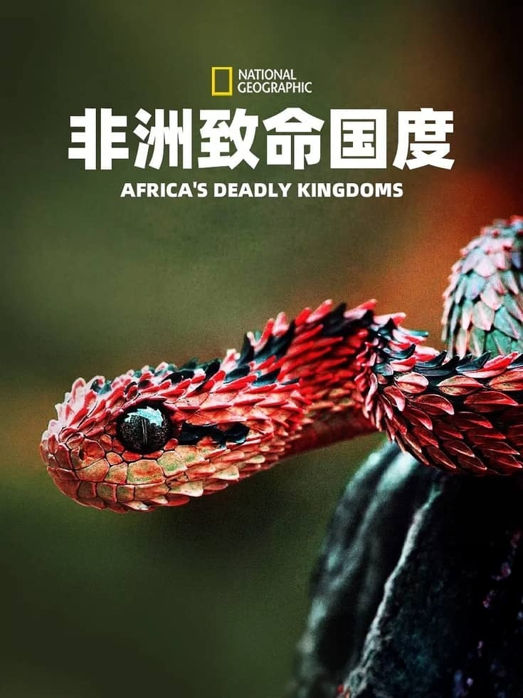 国家地理纪录片《非洲致命国度 Africa’s Deadly Kingdom 2018》全6集 英语中英双字 4K超清/2160P/MP4/7.48G 致命非洲插图