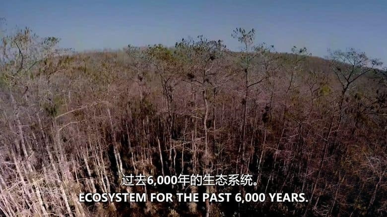 加拿大纪录片《荒野四季 Seasons of the Wild 2015》全2集 英语中英双字 无水印纯净版 1080P/MKV/6.39G 四季仙境插图1