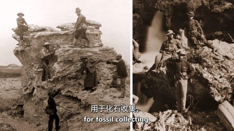 美国纪录片《考古侦探：剑齿虎、乳齿象和哺乳动物的崛起 Paleo Sleuths: Saber-Toothed Tigers, Mastodons, and the Rise of Mammals 2016》英语中英双字 无水印纯净版 1080P/MKV/6.88G 古代哺乳动物插图2