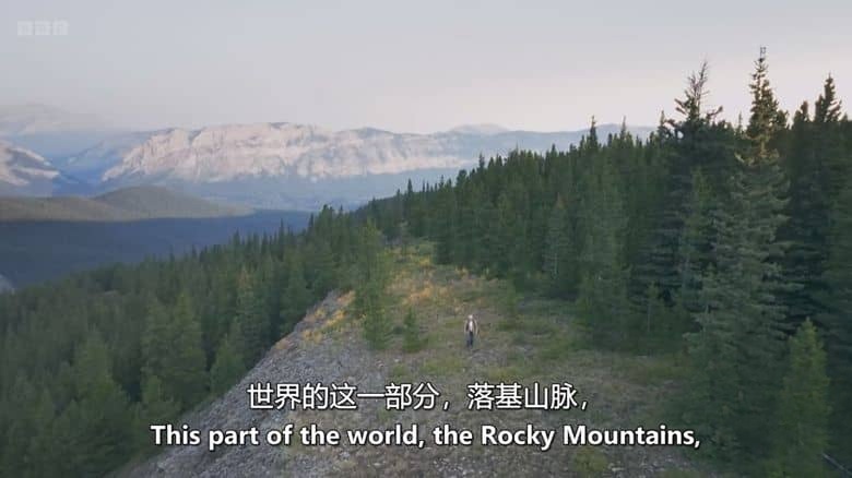 BBC纪录片《荒野奔马:落基山与我 Wild Horses, the Rockies and Me 2025》英语中英双字 无水印纯净版 1080P/MKV/1.14G 落基山野马插图1 BBC纪录片《荒野奔马:落基山与我 Wild Horses, the Rockies and Me 2025》英语中英双字 无水印纯净版 1080P/MKV/1.14G 落基山野马插图1