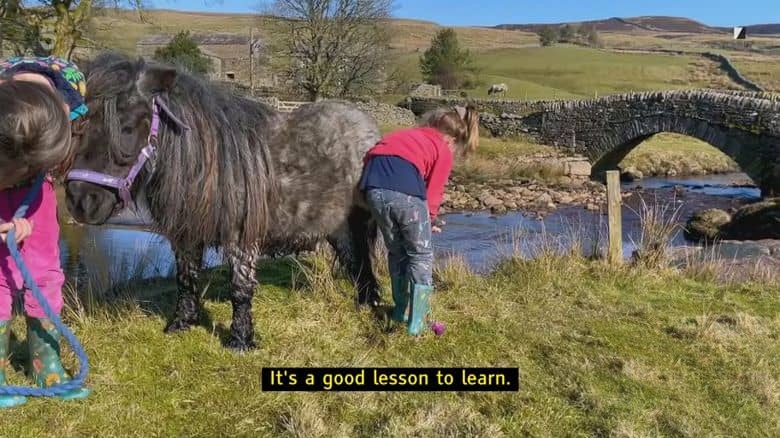 Ch5纪录片《我们约克郡的农场 Our Yorkshire Farm 2022》第5季全7集 英语英字 官方纯净版 1080P/MKV/13.4G 农场生活插图6 Ch5纪录片《我们约克郡的农场 Our Yorkshire Farm 2022》第5季全7集 英语英字 官方纯净版 1080P/MKV/13.4G 农场生活插图6