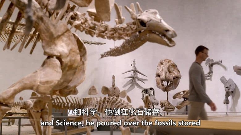 美国纪录片《在小行星撞击中幸存 Surviving the Asteroid 2023》全2集 英语中英双字 无水印纯净版 1080P/MKV/6.02G 小行星撞击地球插图2