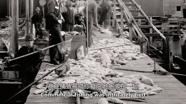 美国纪录片《偷鱼贼：五大湖之谜 The Fish Thief: A Great Lakes Mystery 2025》英语中英双字 无水印纯净版 1080P/MKV/4.88G 淡水生态插图4