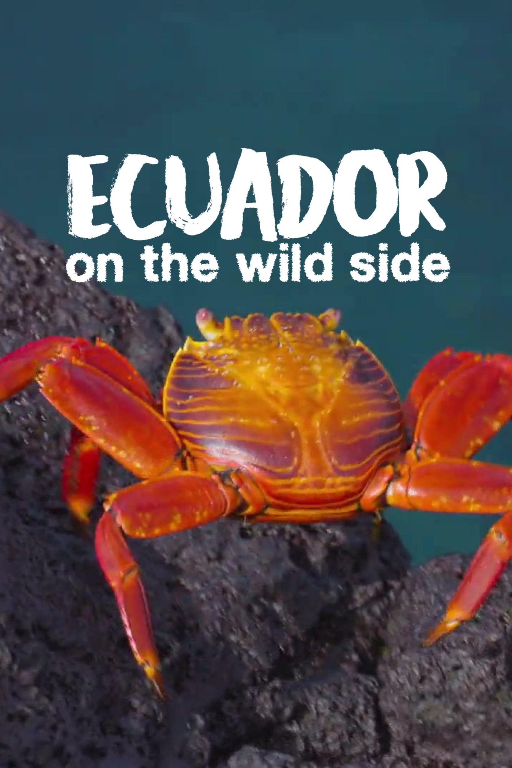 Curiosity纪录片《厄瓜多尔:狂野的一面 Ecuador: On the Wild Side 2024》全2集 英语中英双字 无水印纯净版 1080P/MKV/9.17G 原生态厄瓜多尔插图 Curiosity纪录片《厄瓜多尔:狂野的一面 Ecuador: On the Wild Side 2024》全2集 英语中英双字 无水印纯净版 1080P/MKV/9.17G 原生态厄瓜多尔插图
