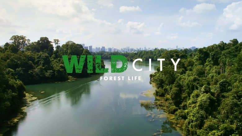 新加坡纪录片《野生城市：森林生物 Wild City: Forest Life 2019》英语多国字幕 无水印纯净版 1080P/MKV/2.45G 野生城市插图