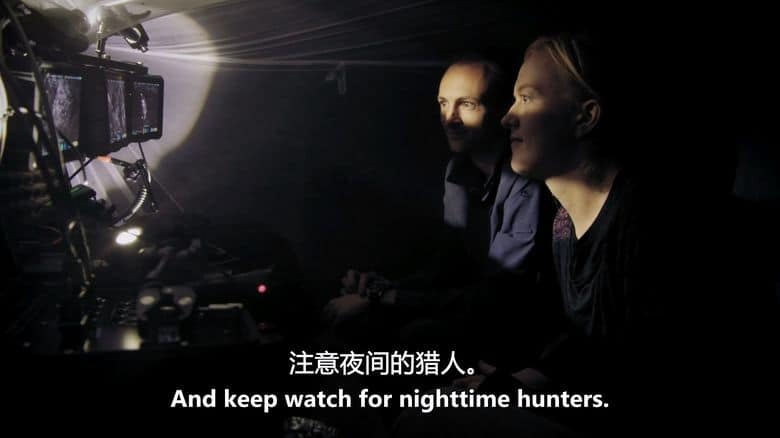PBS纪录片《解密亚马逊丛林 Undercover in the Jungle 2019》英语中英双字 无水印纯净版 1080P/MKV/3.39G 丛林卧底插图6