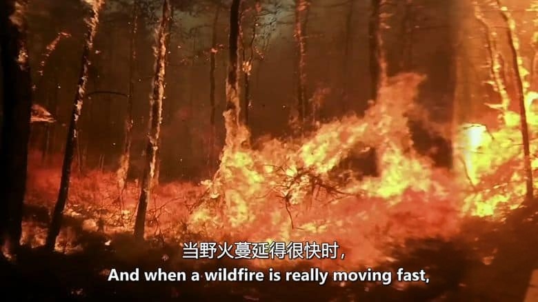 CNN纪录片《暴力地球 Violent Earth 2024》全5集 英语中英双字 无水印纯净版 1080P/MKV/10G 致命自然灾难插图6
