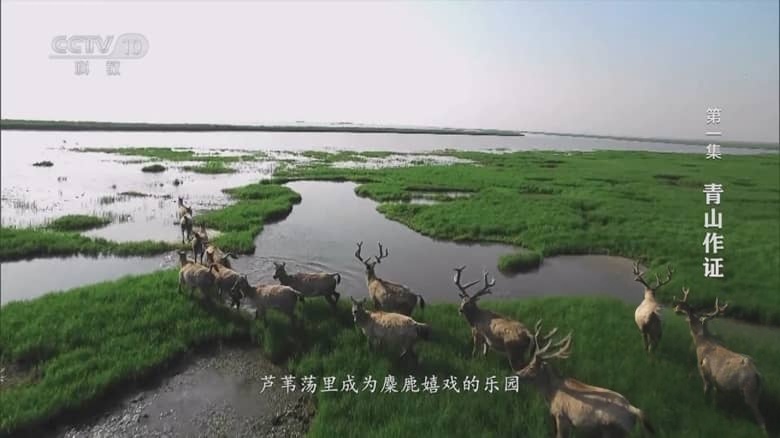 央视纪录片《逐梦山水 2025》全7集 国语中字 1080P/TS/14G 绿水青山插图2