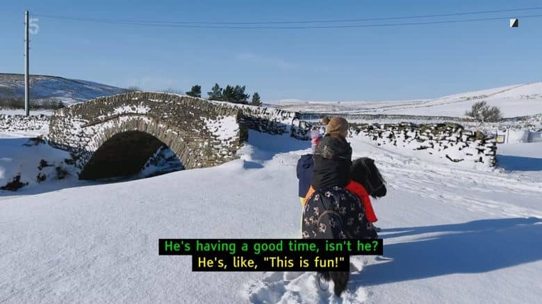 Ch5纪录片《我们约克郡的农场 Our Yorkshire Farm 2022》第5季全7集 英语英字 官方纯净版 1080P/MKV/13.4G 农场生活插图4 Ch5纪录片《我们约克郡的农场 Our Yorkshire Farm 2022》第5季全7集 英语英字 官方纯净版 1080P/MKV/13.4G 农场生活插图4