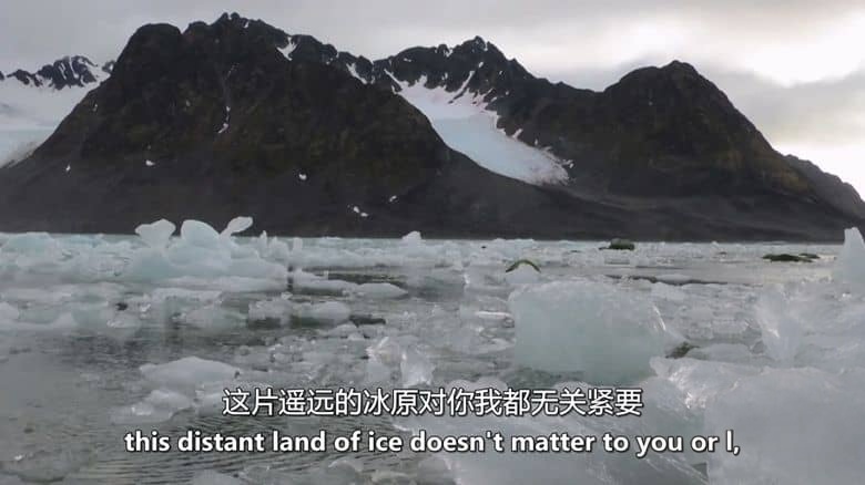 英国纪录片《格陵兰岛：边缘生存 Greenland: Survival at the Edge 2023》第一季全2集 英语中英双字 无水印纯净版 1080P/MKV/2.05G 格陵兰岛插图2