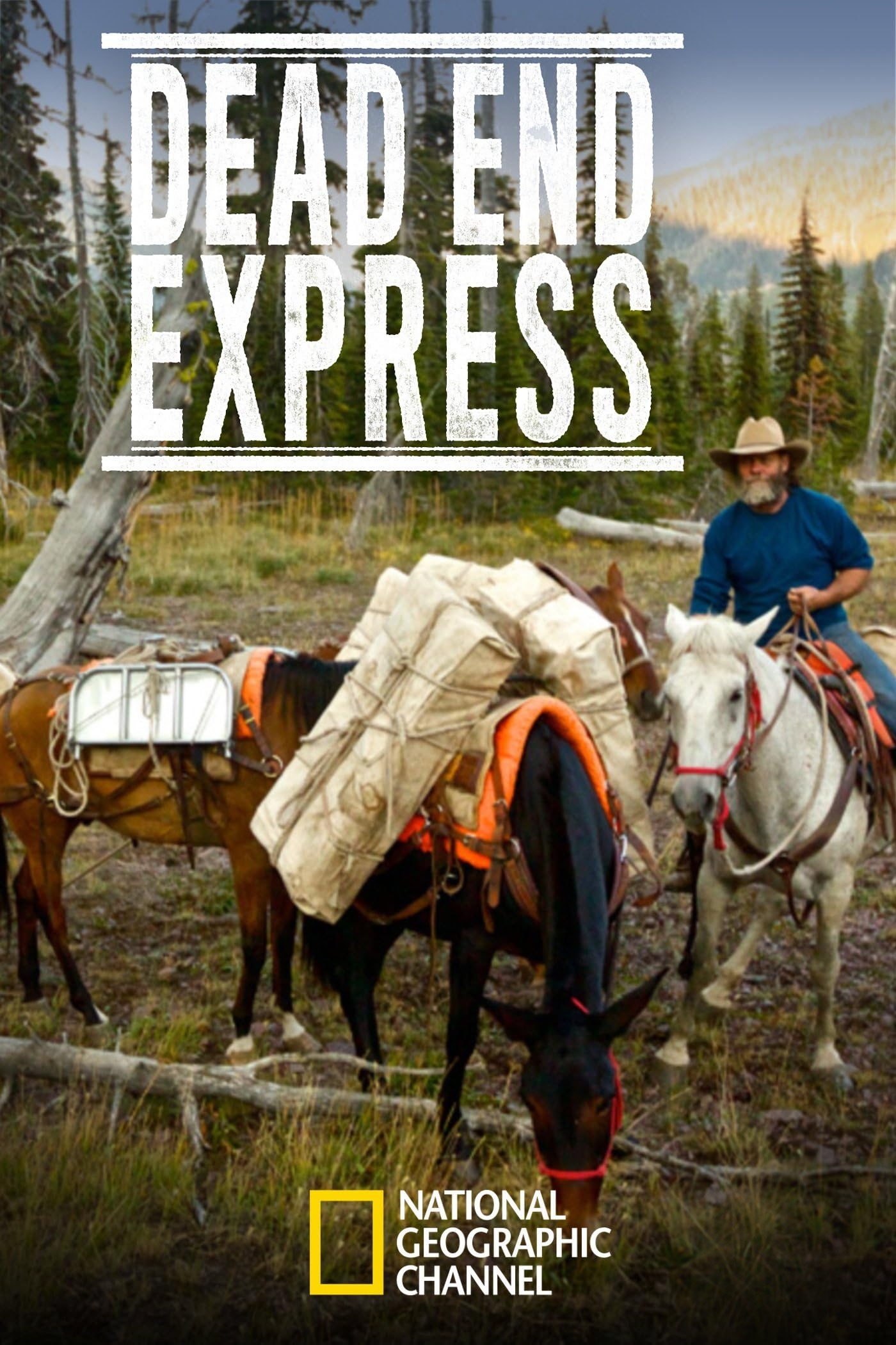 国家地理《亡命速递 Dead End Express 2015》全8集 多国语言多国字幕 无水印纯净版 720P/MKV/16.1G 绝命快递插图
