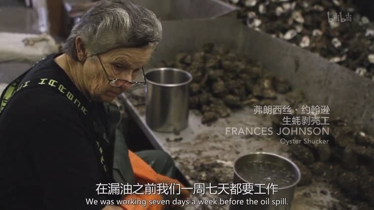 美国纪录片《严重无视 The Great Invisible 2014》英语中英双字 1080P/MP4/2.56G 海上漏油危机插图4 美国纪录片《严重无视 The Great Invisible 2014》英语中英双字 1080P/MP4/2.56G 海上漏油危机插图4