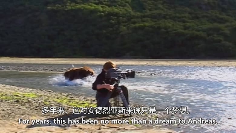美国纪录片《巨型灰熊 Giant Grizzlies 2019》英语中英双字 无水印纯净版 1080P/MKV/4.85G 阿拉斯加巨型灰熊插图3