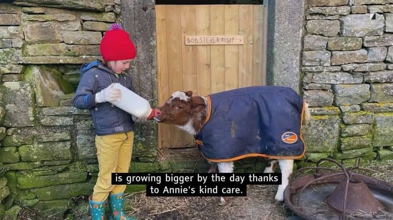 Ch5纪录片《我们约克郡的农场 Our Yorkshire Farm 2022》第5季全7集 英语英字 官方纯净版 1080P/MKV/13.4G 农场生活插图5 Ch5纪录片《我们约克郡的农场 Our Yorkshire Farm 2022》第5季全7集 英语英字 官方纯净版 1080P/MKV/13.4G 农场生活插图5