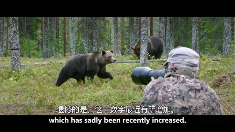 法国纪录片《北欧奇观 Wonders of Northern Europe 2020》全5集 英语中英双字 无水印纯净版 1080P/MKV/13.3G 北欧风情插图2 法国纪录片《北欧奇观 Wonders of Northern Europe 2020》全5集 英语中英双字 无水印纯净版 1080P/MKV/13.3G 北欧风情插图2