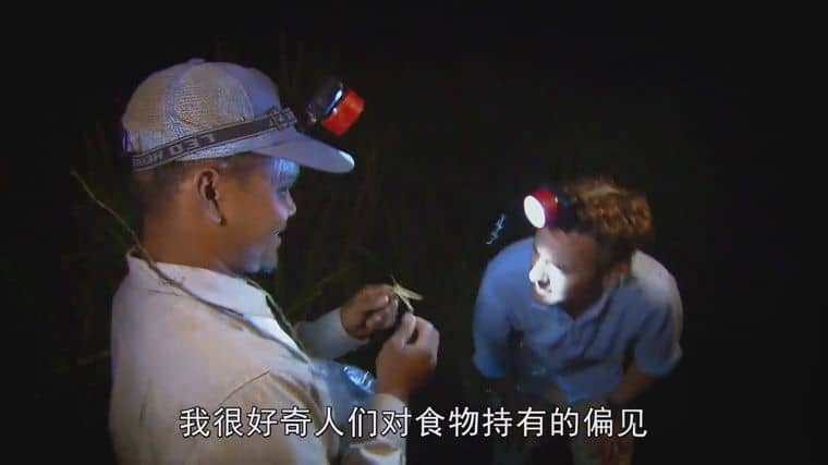 BBC纪录片《吃昆虫能拯救世界吗？Can Eating Insects Save the World? 2013》英语中字 1080P/MP4/986M 粮食危机插图3