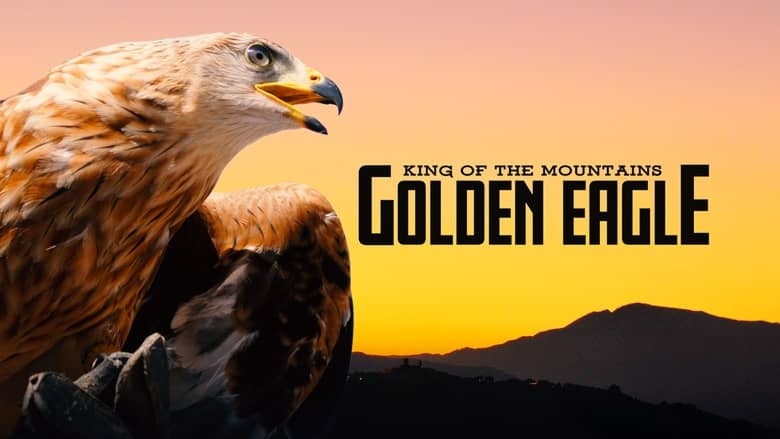 德国纪录片《山中之王:金雕 King of the Mountains:Golden Eagle 2015》英语中英双字 无水印纯净版 1080P/MKV/3.34G 金雕插图 德国纪录片《山中之王:金雕 King of the Mountains:Golden Eagle 2015》英语中英双字 无水印纯净版 1080P/MKV/3.34G 金雕插图