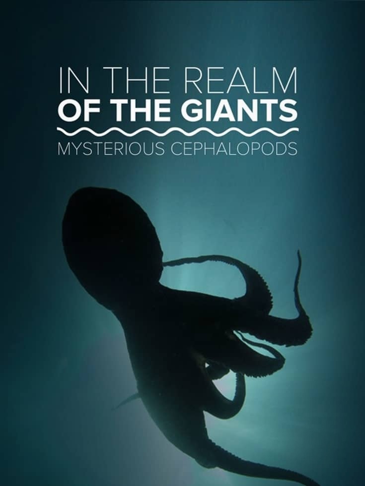 美国纪录片《巨人的领域：神秘的头足类动物 In the Realm of the Giants: Mysterious Cephalopods 2013》英语中英双字 无水印纯净版 1080P/MKV/3.17G 头足类动物插图