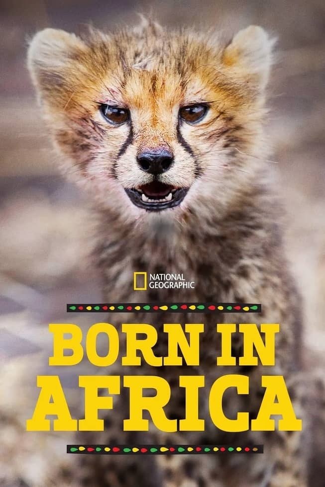 国家地理《非洲原野育成记 Born In Africa 2018》全3集 多国语言多国字幕 无水印纯净版 720P/MKV/7.59G 动物幼崽育成插图 国家地理《非洲原野育成记 Born In Africa 2018》全3集 多国语言多国字幕 无水印纯净版 720P/MKV/7.59G 动物幼崽育成插图