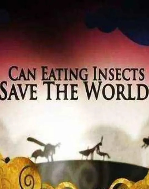 BBC纪录片《吃昆虫能拯救世界吗？Can Eating Insects Save the World? 2013》英语中字 1080P/MP4/986M 粮食危机插图