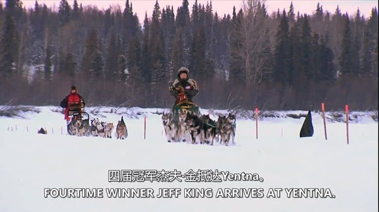 探索频道《地球上最艰难的比赛 Iditarod Toughest Race on Earth：Iditarod 2008》全6集 英语中英双字 无水印纯净版 1080P/MKV/22.1G 穿越阿拉斯加荒野插图1