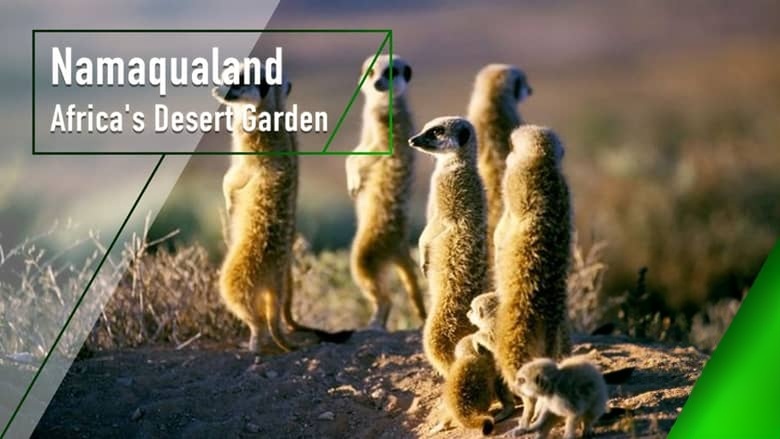 英国纪录片《纳马夸兰：非洲沙漠花园 Namaqualand：Africa’s Desert Garden 2005》英语中英双字 无水印纯净版 1080P/MKV/3.32G 非洲沙漠花园插图1