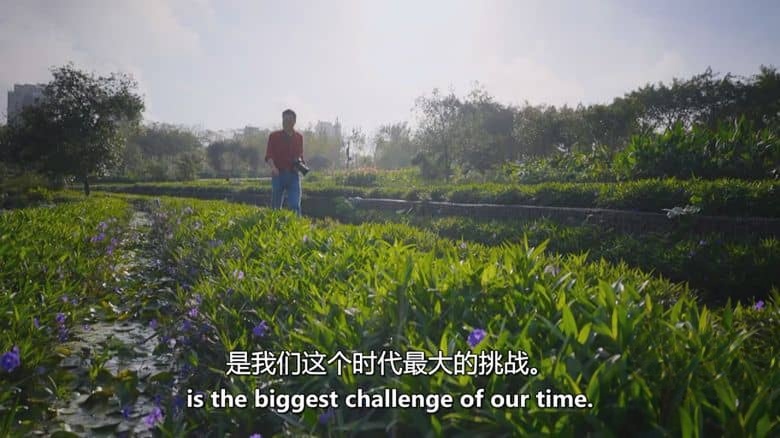 PBS纪录片《自然界的未来 The Future of Nature 2025》全4集 英语中英双字 无水印纯净版 1080P/MKV/4.84G 生态平衡插图7