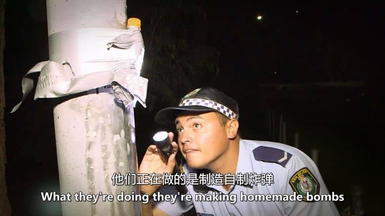 澳大利亚纪录片《海滩警察 Beach Cops 2015》第2-3季全12集 英语中英双字 无水印纯净版 1080P/MKV/18.4G 海滩警察插图5