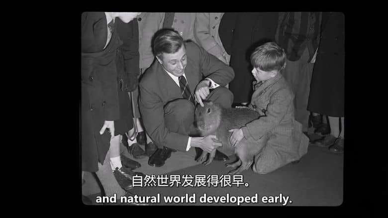 英国纪录片《大卫·爱登堡：地球上的生活 David Attenborough: A Life on Earth 2023》英语中英双字 无水印纯净版 1080P/MKV/2.57G 英国国宝级人物插图1