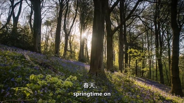 BBC纪录片《赏春 Springwatch 2025》全12集 英语中英双字 无水印纯净版 1080P/MKV/22.48GB 英伦春日插图5