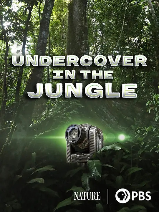 PBS纪录片《解密亚马逊丛林 Undercover in the Jungle 2019》英语中英双字 无水印纯净版 1080P/MKV/3.39G 丛林卧底插图
